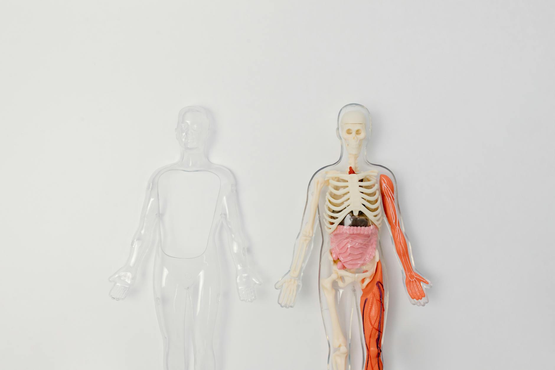 Academic Requirements for Medical School